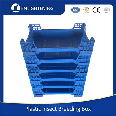 Fabryka pojemników na muchy Czarnego Żołnierza