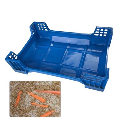 Dostawca pojemników na muchy Czarnego Żołnierza