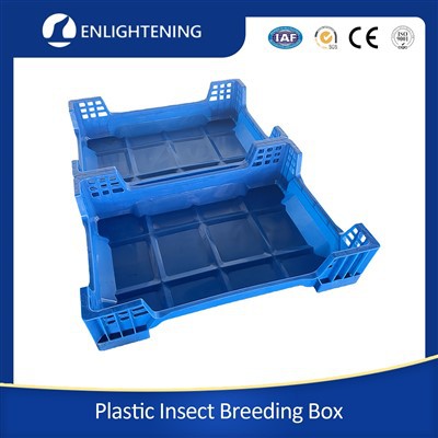 Pudełko do hodowli much czarnego żołnierza