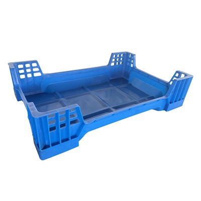 Plastikowa taca na wkłady chrząszcze o wymiarach 600 x 400 x 145 mm